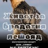 Фолклорен спектакъл „Живот за брадатия лешояд“ ще се проведе в Сливен