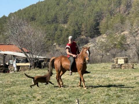 Konete na bulgarite